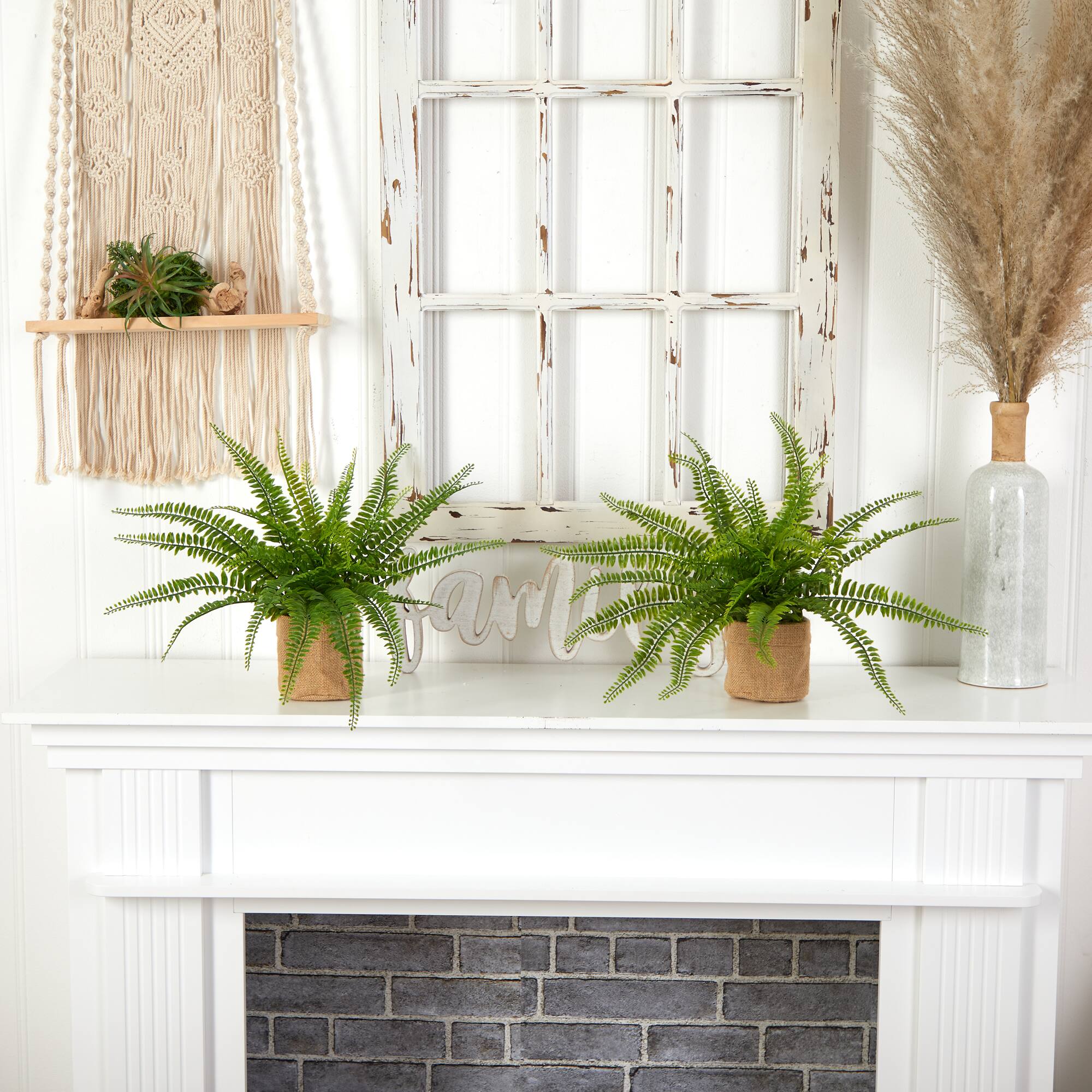 15" Boston Fern with Burlap Planter, 2ct.